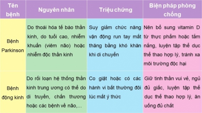 Soạn giáo án điện tử KHTN 8 KNTT Bài 37: Hệ thần kinh và các giác quan ở người