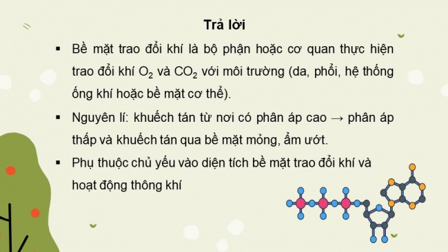 Soạn giáo án điện tử sinh học 11 KNTT Bài 9: Hô hấp ở động vật (P1)