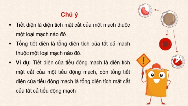 Soạn giáo án điện tử sinh học 11 KNTT Bài 10: Tuần hoàn ở động vật (P2)