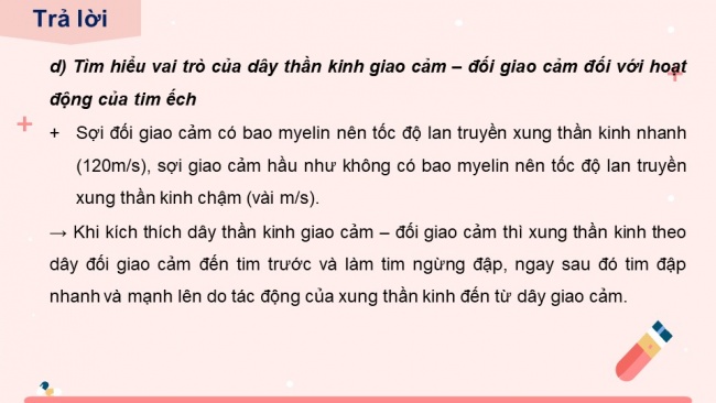 Soạn giáo án điện tử sinh học 11 KNTT Bài 11: Thực hành - Một số thí nghiệm về hệ tuần hoàn