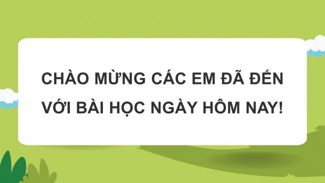 Soạn giáo án điện tử công nghệ chăn nuôi 11 KNTT Bài 10: Thực hành: Chế biến, bảo quản thức ăn cho vật nuôi