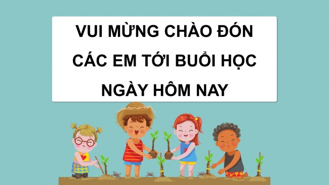 Soạn giáo án điện tử công nghệ 4 cánh diều Bài 7: Trồng và chăm sóc cây cảnh trong chậu