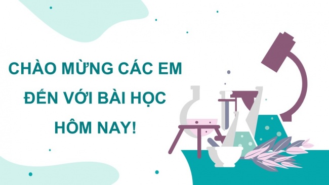 Soạn giáo án điện tử sinh học 11 CTST Bài 8: Dinh dưỡng và tiêu hóa ở động vật