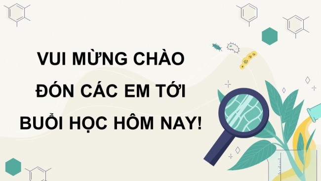 Soạn giáo án điện tử sinh học 11 CTST Bài 14: Khái quát về cảm ứng ở sinh vật