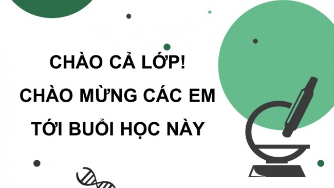 Soạn giáo án điện tử sinh học 11 CTST Bài 15: Cảm ứng ở thực vật