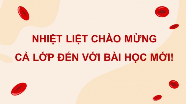 Soạn giáo án điện tử sinh học 11 Cánh diều Bài 8: Hệ tuần hoàn ở động vật (P1)