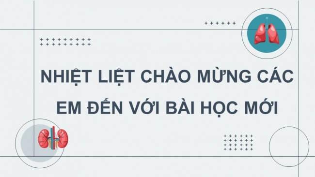 Soạn giáo án điện tử sinh học 11 Cánh diều Bài 10: Bài tiết và cân bằng nội môi