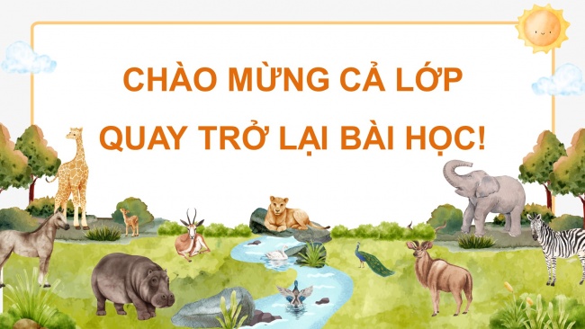 Soạn giáo án điện tử khoa học 4 cánh diều Bài 14: Nhu cầu sống của động vật và chăm sóc vật nuôi (P2)