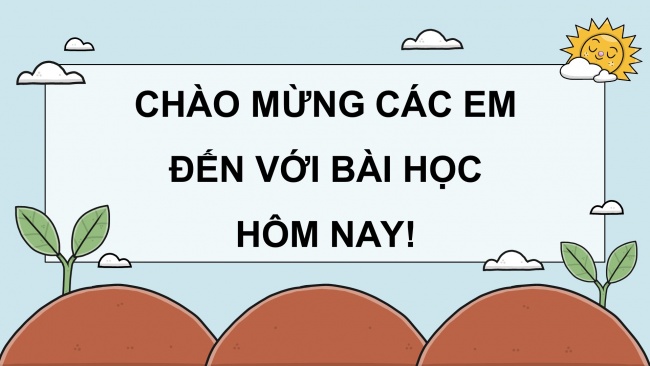 Soạn giáo án điện tử khoa học 4 KNTT Bài 17: Chăm sóc cây trồng, vật nuôi