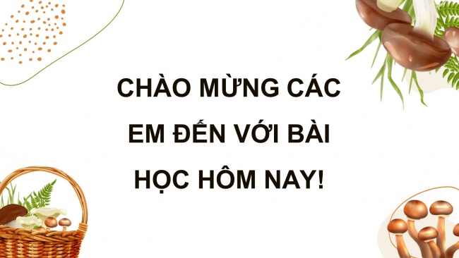 Soạn giáo án điện tử khoa học 4 KNTT Bài 20: Nấm ăn và nấm trong chế biến thực phẩm