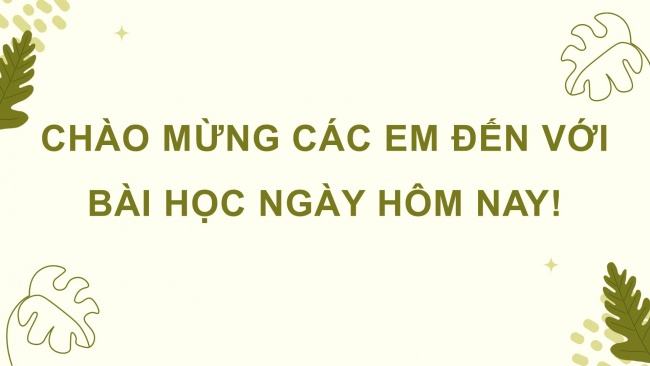 Soạn giáo án điện tử lịch sử và địa lí 4 CTST Bài 19: Thiên nhiên vùng Tây Nguyên