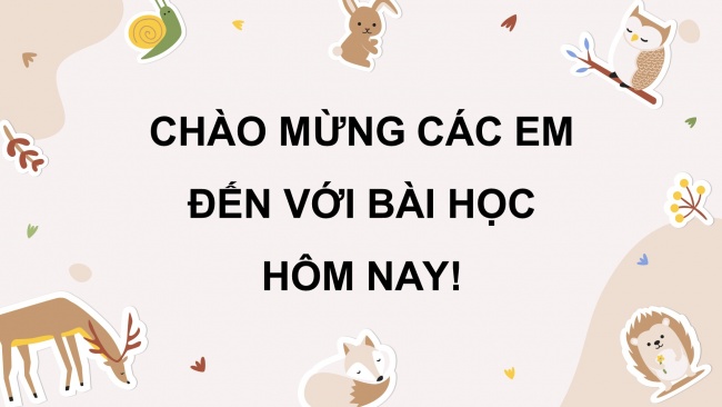 Soạn giáo án điện tử khoa học 4 CTST Bài 18: Ôn tập chủ đề Thực vật và động vật