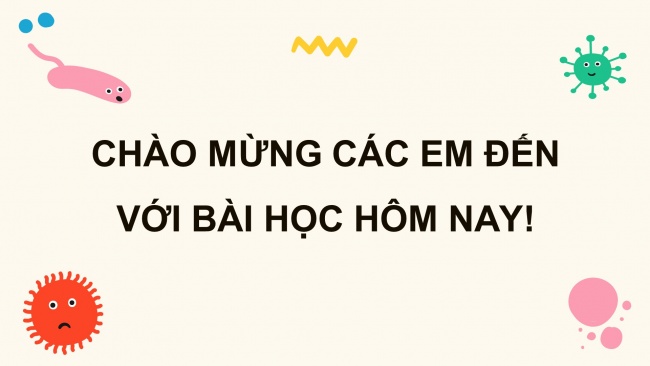 Soạn giáo án điện tử khoa học 4 CTST Bài 22: Ôn tập chủ đề Nấm