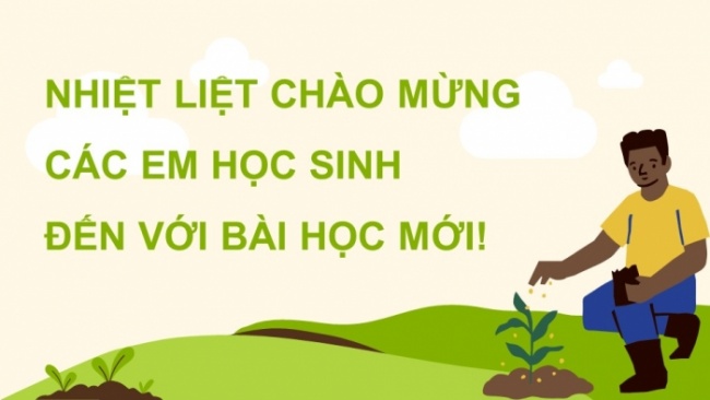 Soạn giáo án điện tử KHTN 8 KNTT Bài 12: Phân bón hoá học