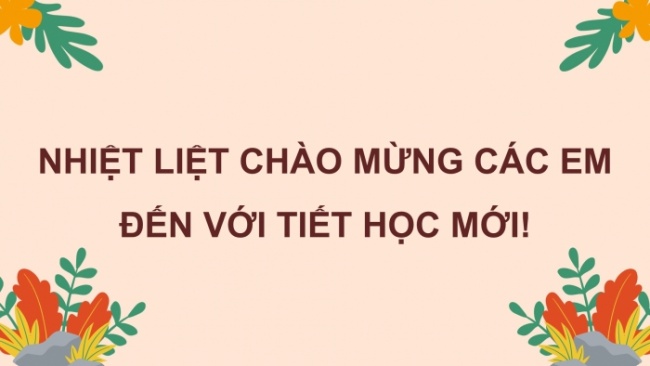 Soạn giáo án điện tử HĐTN 8 KNTT Chủ đề 3 HĐGDTCĐ 2: Kĩ năng từ chối (Tiết 2)