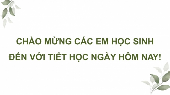 Soạn giáo án điện tử HĐTN 8 KNTT Chủ đề 4 HĐGDTCĐ 1: Người tiêu dùng thông thái (Tiết 1)