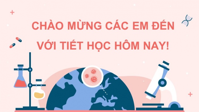 Soạn giáo án điện tử sinh học 11 KNTT Bài 11: Thực hành - Một số thí nghiệm về hệ tuần hoàn