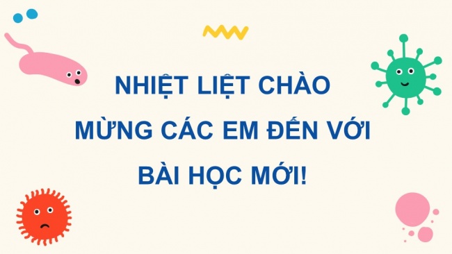 Soạn giáo án điện tử sinh học 11 KNTT Bài 13: Bài tiết và cân bằng nội môi