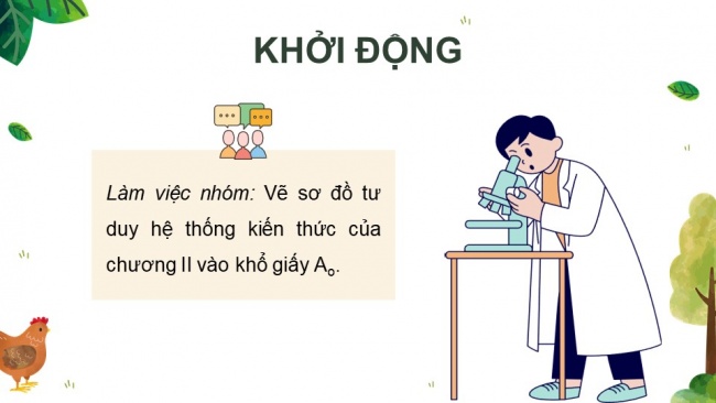 Soạn giáo án điện tử công nghệ chăn nuôi 11 KNTT: Ôn tập chương 2