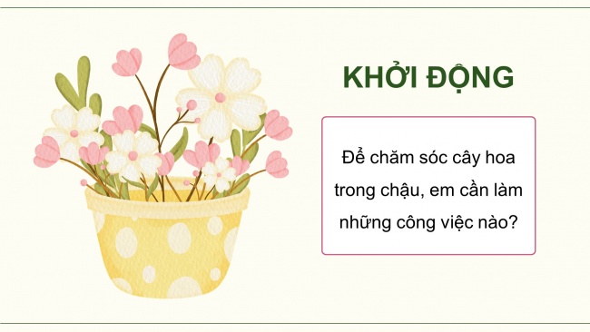 Soạn giáo án điện tử công nghệ 4 cánh diều Bài 6: Trồng và chăm sóc hoa trong chậu