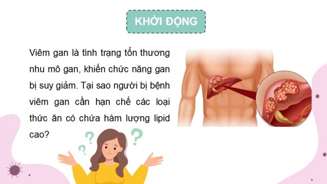 Soạn giáo án điện tử sinh học 11 CTST Bài 8: Dinh dưỡng và tiêu hóa ở động vật