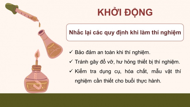 Soạn giáo án điện tử sinh học 11 CTST Bài 11: Thực hành: Tìm hiểu hoạt động của hệ tuần hoàn