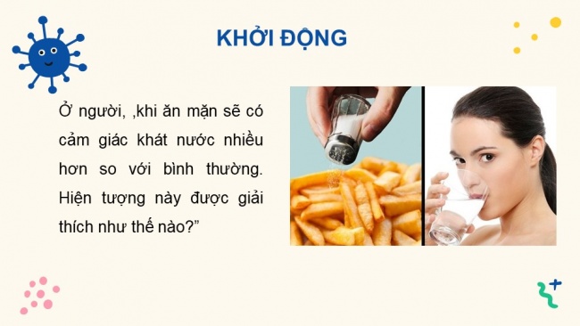 Soạn giáo án điện tử sinh học 11 CTST Bài 13: Bài tiết và cân bằng nội môi