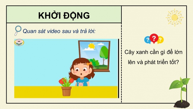 Soạn giáo án điện tử khoa học 4 cánh diều Bài 13: Nhu cầu sống của thực vật và chăm sóc cây trồng (P1)