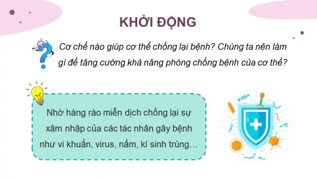 Soạn giáo án điện tử sinh học 11 Cánh diều  Bài 9: Miễn dịch ở người và động vật