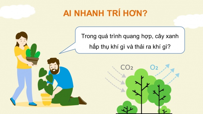 Soạn giáo án điện tử khoa học 4 cánh diều Bài 13: Nhu cầu sống của thực vật và chăm sóc cây trồng (P2)