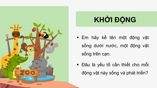 Soạn giáo án điện tử khoa học 4 cánh diều Bài 14: Nhu cầu sống của động vật và chăm sóc vật nuôi (P1)