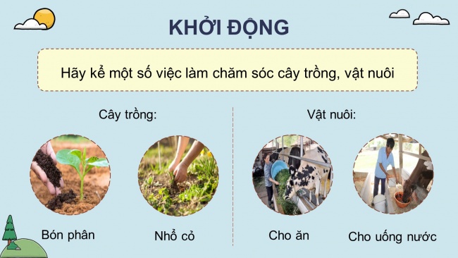 Soạn giáo án điện tử khoa học 4 KNTT Bài 17: Chăm sóc cây trồng, vật nuôi