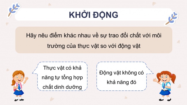 Soạn giáo án điện tử khoa học 4 KNTT Bài 18: Ôn tập chủ đề thực vật và động vật