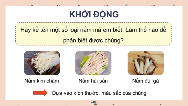 Soạn giáo án điện tử khoa học 4 KNTT Bài 19: Đặc điểm chung của nấm