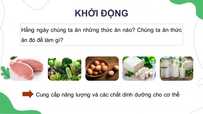 Soạn giáo án điện tử khoa học 4 KNTT Bài 23: Vai trò của chất dinh dưỡng đối với cơ thể