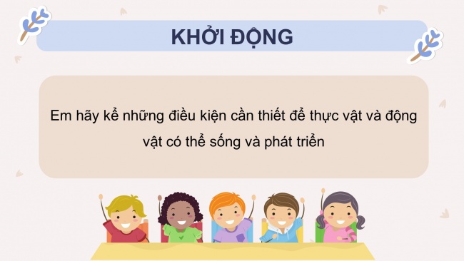 Soạn giáo án điện tử khoa học 4 CTST Bài 18: Ôn tập chủ đề Thực vật và động vật