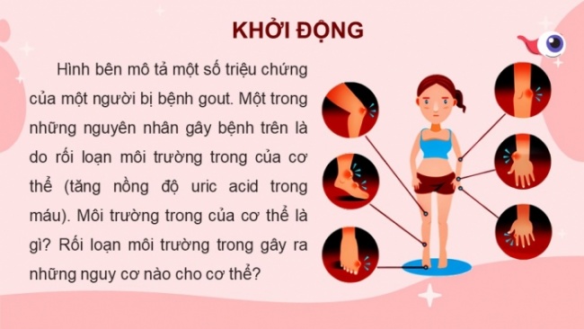 Soạn giáo án điện tử KHTN 8 KNTT Bài 36: Điều hòa môi trường trong của cơ thể người