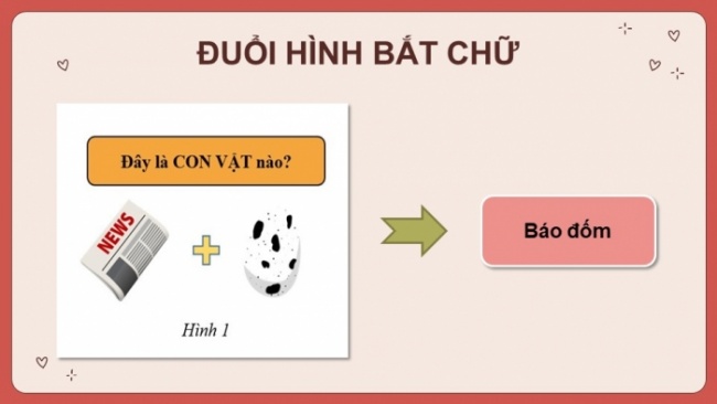 Soạn giáo án điện tử Địa lí 8 KNTT Bài 10: Sinh vật Việt Nam