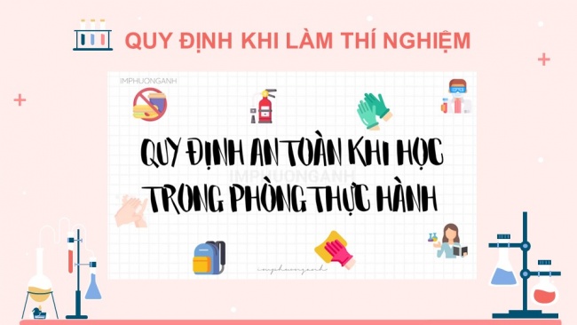 Soạn giáo án điện tử sinh học 11 KNTT Bài 11: Thực hành - Một số thí nghiệm về hệ tuần hoàn