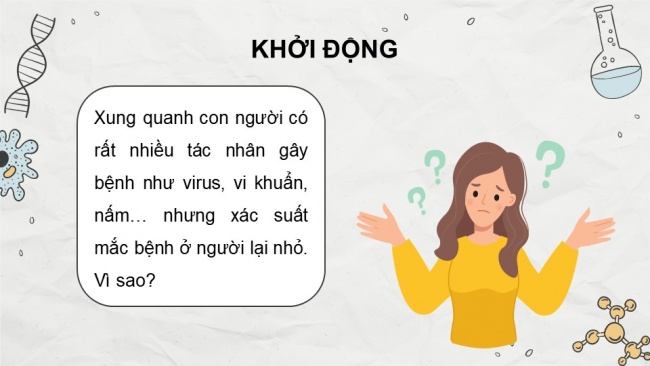 Soạn giáo án điện tử sinh học 11 KNTT Bài 12: Miễn dịch ở người và động vật