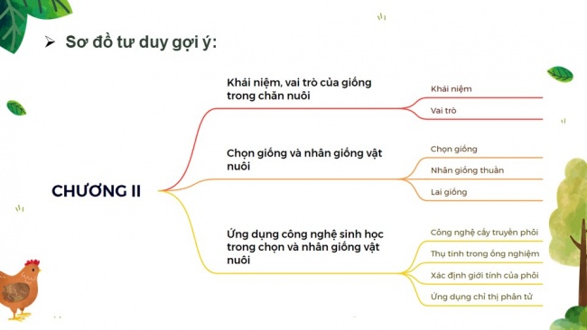 Soạn giáo án điện tử công nghệ chăn nuôi 11 KNTT: Ôn tập chương 2