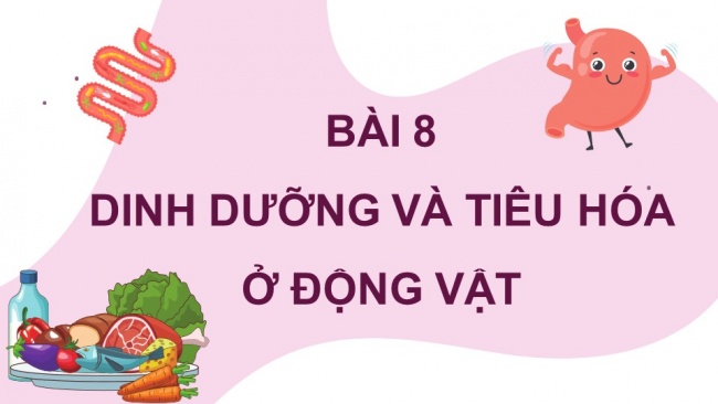 Soạn giáo án điện tử sinh học 11 CTST Bài 8: Dinh dưỡng và tiêu hóa ở động vật