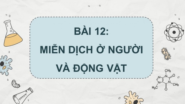 Soạn giáo án điện tử sinh học 11 CTST Bài 12: Miễn dịch ở động vật và người