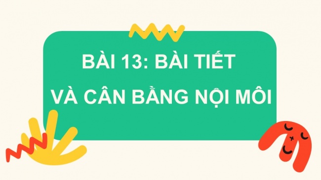 Soạn giáo án điện tử sinh học 11 CTST Bài 13: Bài tiết và cân bằng nội môi