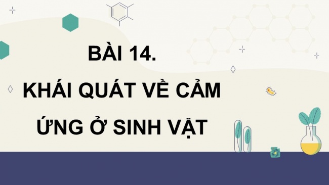 Soạn giáo án điện tử sinh học 11 CTST Bài 14: Khái quát về cảm ứng ở sinh vật