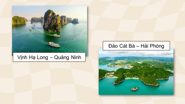 Soạn giáo án điện tử ngữ văn 11 CTST Bài 4: Thực hành tiếng Việt