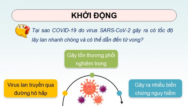 Soạn giáo án điện tử sinh học 11 Cánh diều Bài 7: Hô hấp ở động vật