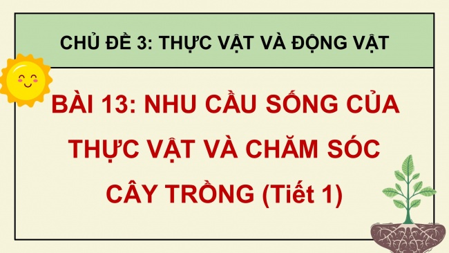 Soạn giáo án điện tử khoa học 4 cánh diều Bài 13: Nhu cầu sống của thực vật và chăm sóc cây trồng (P1)