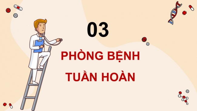 Soạn giáo án điện tử sinh học 11 Cánh diều  Bài 8: Hệ tuần hoàn ở động vật (P2)