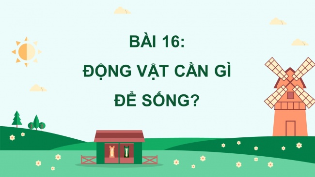 Soạn giáo án điện tử khoa học 4 KNTT Bài 16: Động vật cần gì để sống?